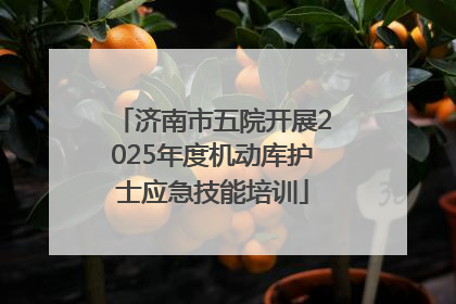 济南市五院开展2025年度机动库护士应急技能培训